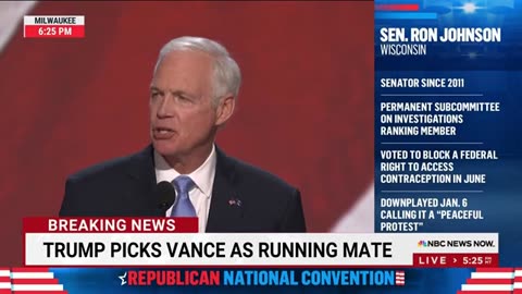 Sen. Ron Johnson_ Democrats' agenda is a 'clear and present danger to America'