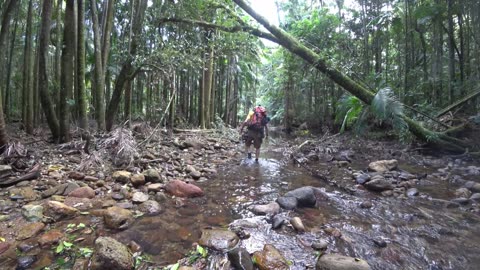 Exploring the Jungle on a Family Day Out. Look What We Found!