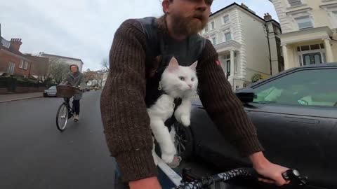 Takes His Cat Out For A Ride On The Bike In A Baby Carrier