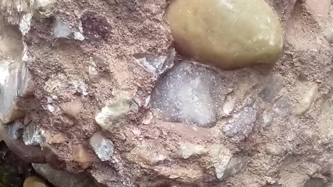 Rock hunting, any idea? Quartz?