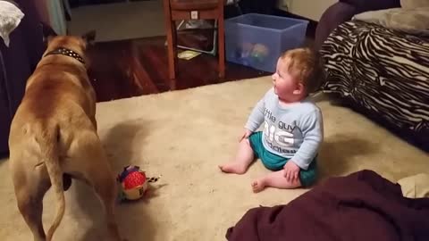 Baby laughing at dog & bubbles