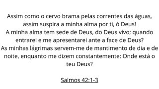 salmos 42