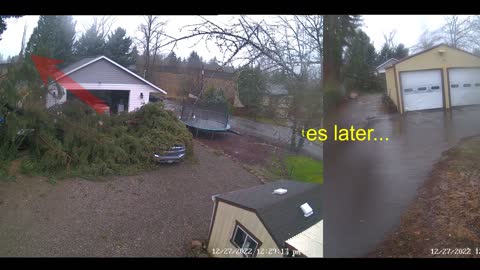 Tree falls on Truck & Trailer, then later on the garage and trampoline!