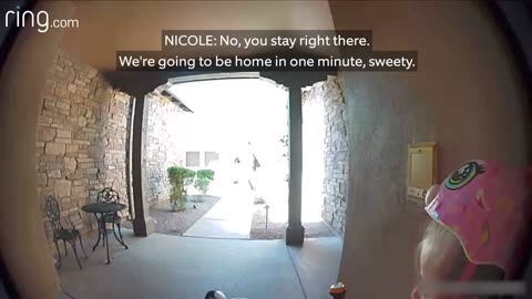 Taylor Talks to Her Neighbor On Ring Video Doorbell After Running Away From a Bobcat _ RingTV