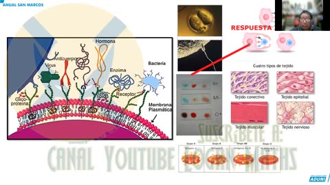 ANUAL ADUNI 2023 | Semana 05 | Biología S2 | Economía | Química S2