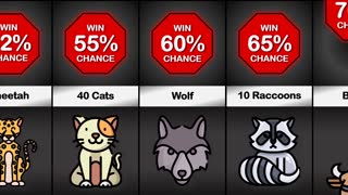 Probability Comparison: You VS Animal