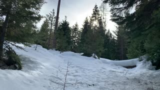 Steep Snowy Forest Hike – Ochoco National Forest – Bandit Springs Sno-Park – Central Oregon – 4K