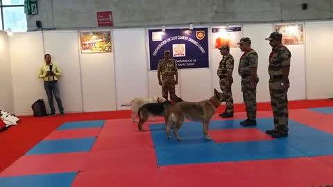 CISF demonstration of dog squad ... Aviation and defence...