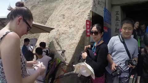 Hua Shan Cliffside Plank Walk