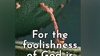 Foolishness of God – 1 Corinthians 1 Apostle Paul #wisdom #foolishness #strength #weakness