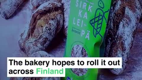 Finland 🍞