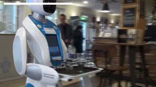 Conoce los nuevos camareros robots