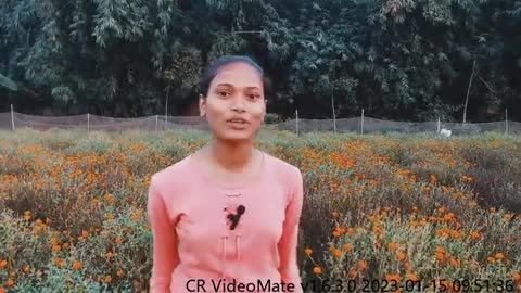 My_first_vlog #my_Frist_vlogs_viral #manojday #jyoti_shree_mahato#vijayriyavlog #manoj_day_vlogs