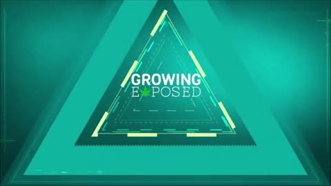 CANNABIS - GROWING EXPOSED