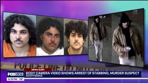 Video depicts the arrest of a Scottsdale murder and stabbing suspect.