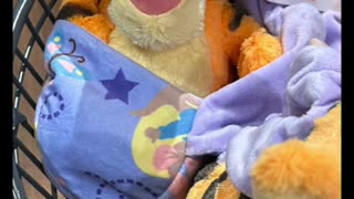 Disney Parks Tigger in a Pouch Blanket Plush Doll #shorts