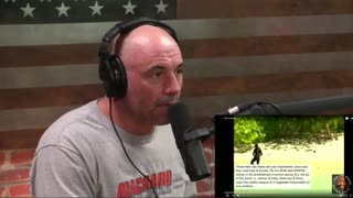 Joe Rogan on Uncontacted Tribes