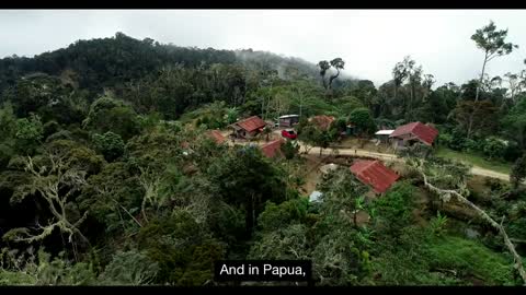 Tanah Papua: A Paradise for Birds