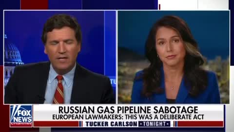 Tulsi Gabbard: "They are leading us further and further into war..."