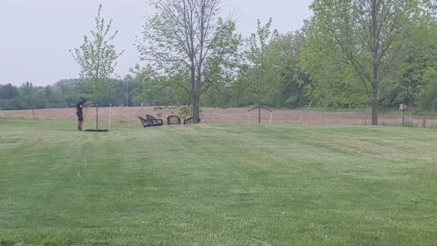 Crew planting maple trees out back at the shack.