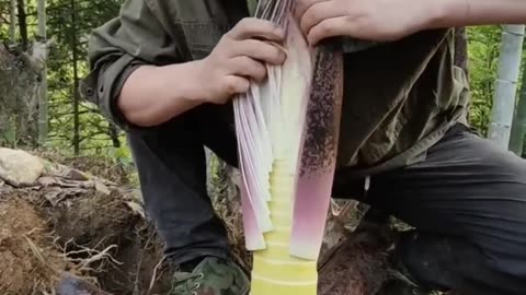 Amazing Sound Of Peeling Bamboo Shoots #satisfying #short