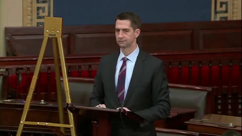 Cotton Expertly Uses Schumer's Words Against Him