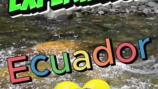 Experience Ecuador!