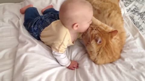 Cat meeting babies for the first time