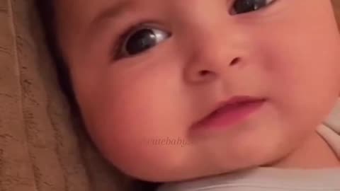 Cute baby videos