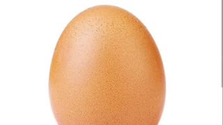 Most famous egg on rumble