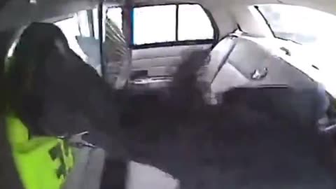 Cop Flips Vehicle With Perp In Back Seat