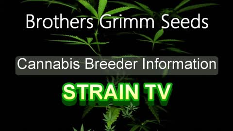 Brothers Grimm Seeds - Cannabis Strain Series - STRAIN TV