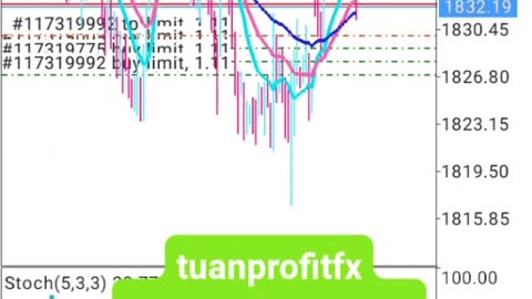 Trading fx Market with tuan profit