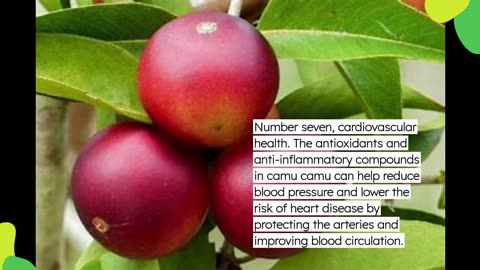 Top 10 Health Benefits of The Amazonian Camu Camu Berry