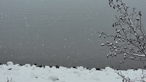 Snowing at Lake Coeur d'Alene
