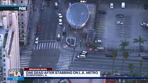 1 dead after stabbing on LA Metro