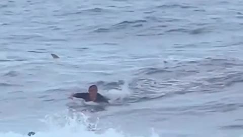 Surfer runs away from a shark at a beach in Puerto Rico 🇵🇷