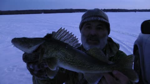 Ice Fishing Walleye caught on a tip up