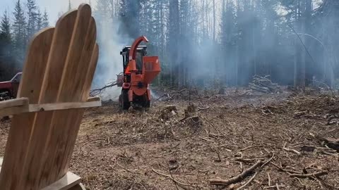 Cleaning Up Trees and Brush, Making Logs