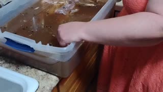Making homemade corned beef and pastrami