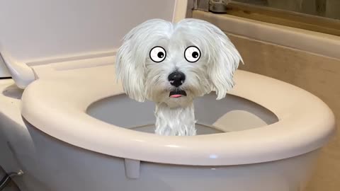 Skibidi Toilet con mi Perro 🐶🚽🤣