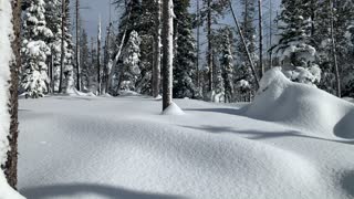 Very Thick Snow Climbing – Central Oregon – Vista Butte Sno-Park – 4K