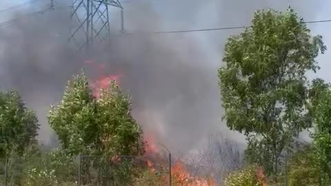 Wildfire Spread in Dartford Marshlands