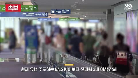 [속보] '전파력 최대' 대유행 우려...'켄타우로스' 변이 확인 / SBS