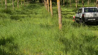 POV: You Don't Own a Lawn Tractor