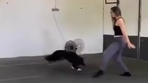Woman Dances With Dog