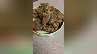 Another Glorious Strain Review