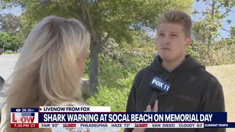 Shark attack scare shuts down popular beach on Memorial Day _ LiveNOW from FOX