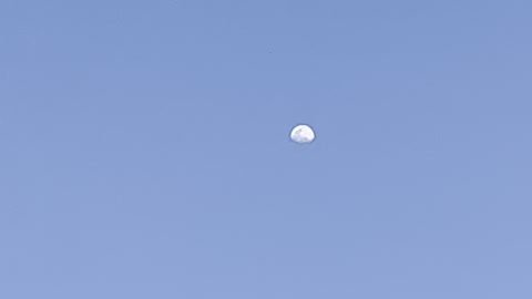 Moon Landing (ish)