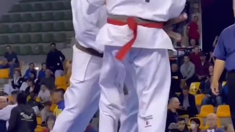 Kyokushin karate knockouts knockouts highlights